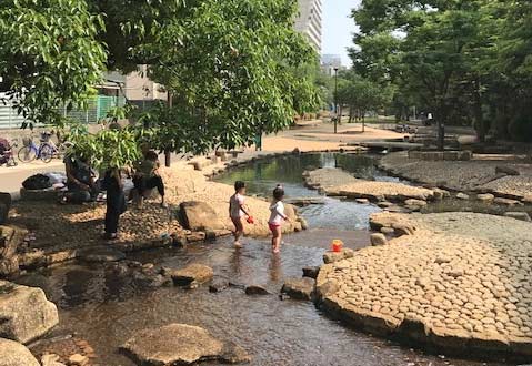 隅田区大横川親水公園で水遊びをする子供たち