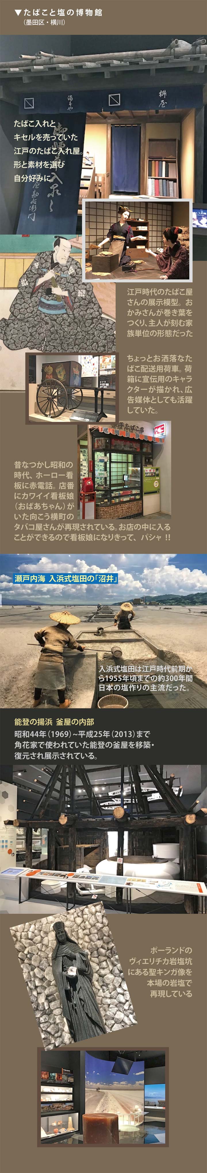 模型や実物の展示で紹介するたばこと塩の博物館