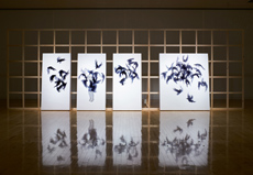 国立新美術館