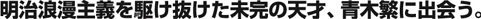 青木繁に出会える美術館 ∥ぶらり美術館（日本の名品）
